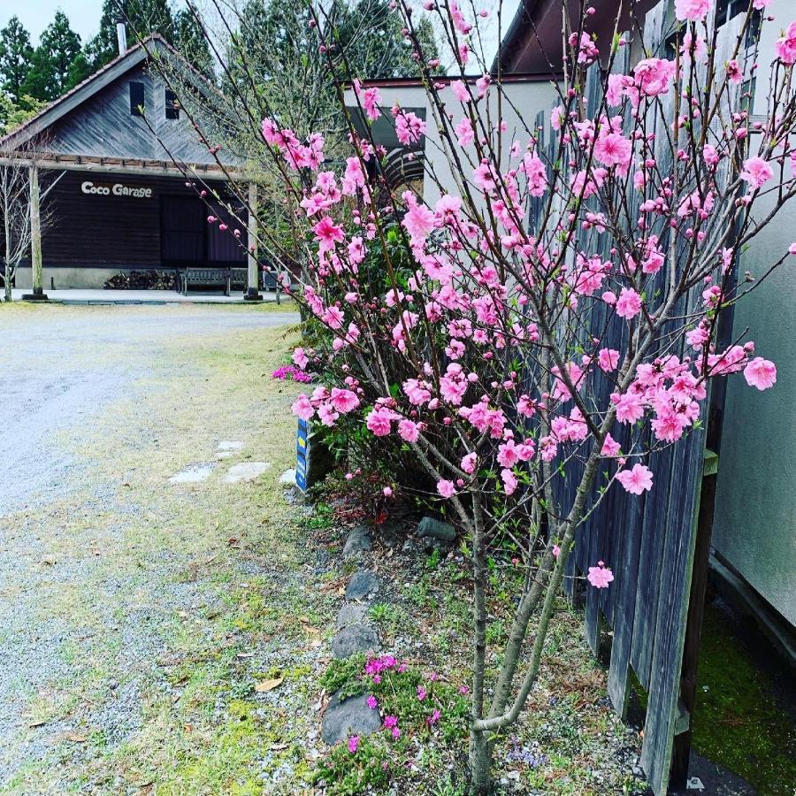 Guesthouse Coco Garage Kirishima Exterior photo